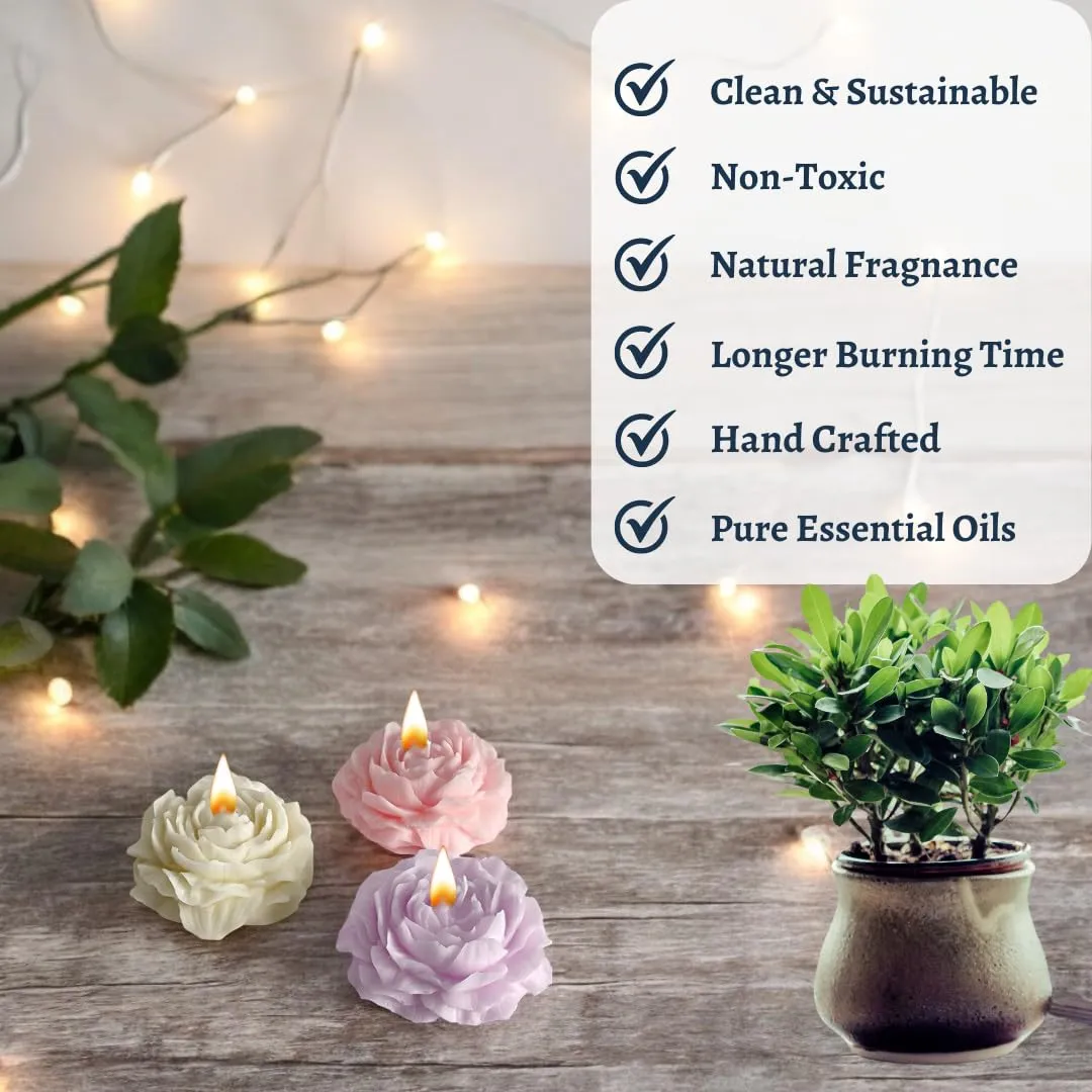 BeVibrance Peony Flower Shaped Scented Candle (Pack of 3) - 100% Soy Wax, Vanilla & Fruit Aroma, 120gm each, Non-Toxic, 10-15 Hrs Burn Time, Perfect for Gifts & Decor - White, Pink & Lavender