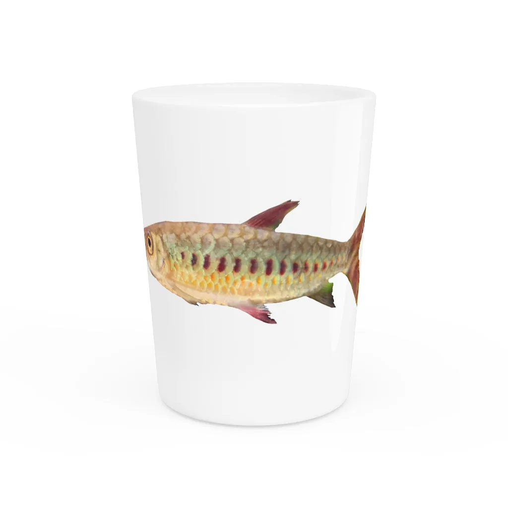 Colorful Fish Shot Glass