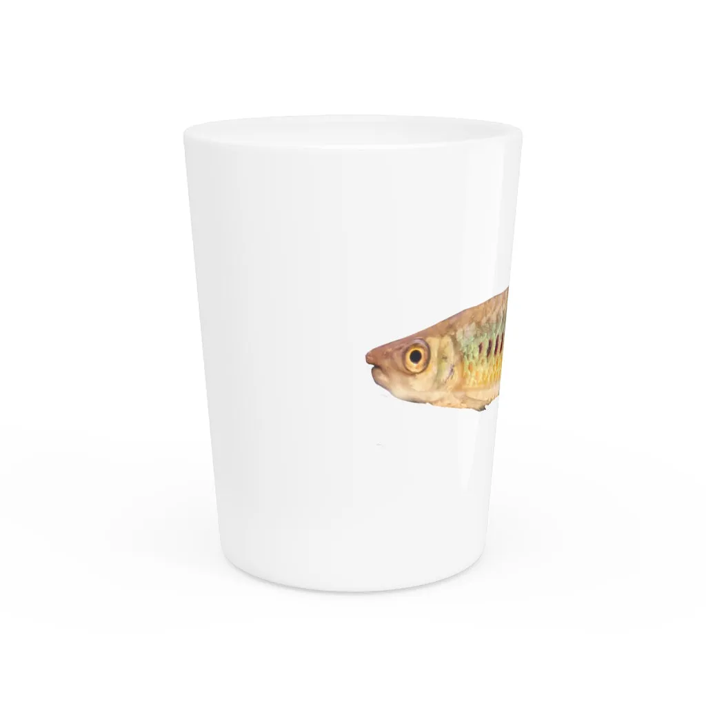 Colorful Fish Shot Glass