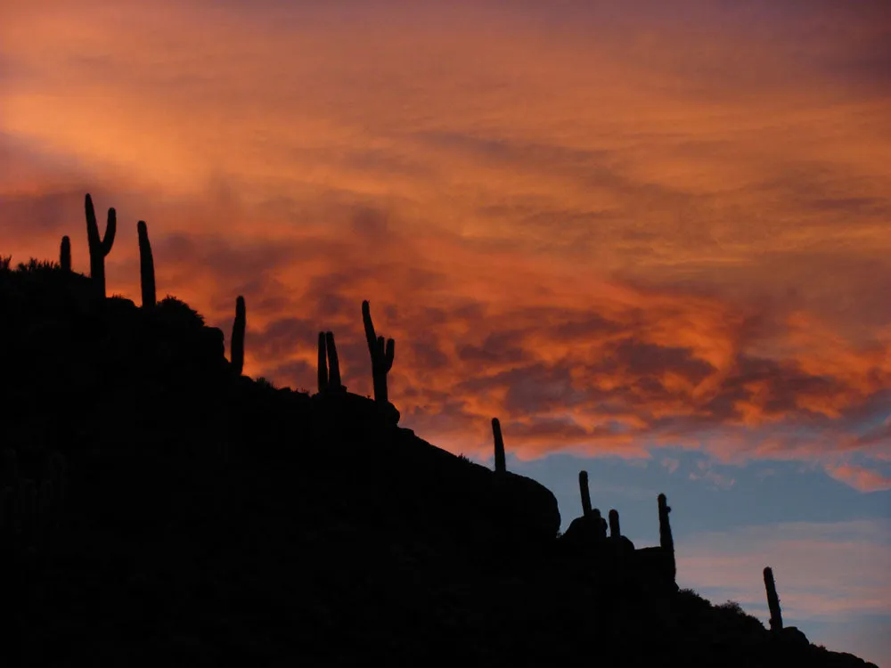 LSM   Explora Experience: Atacama Desert & Uyuni Salt Flats Recce from May 4 - 11, 2025