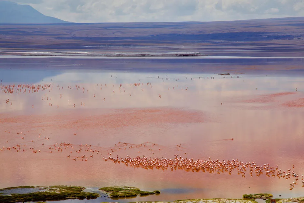 LSM   Explora Experience: Atacama Desert & Uyuni Salt Flats Recce from May 4 - 11, 2025