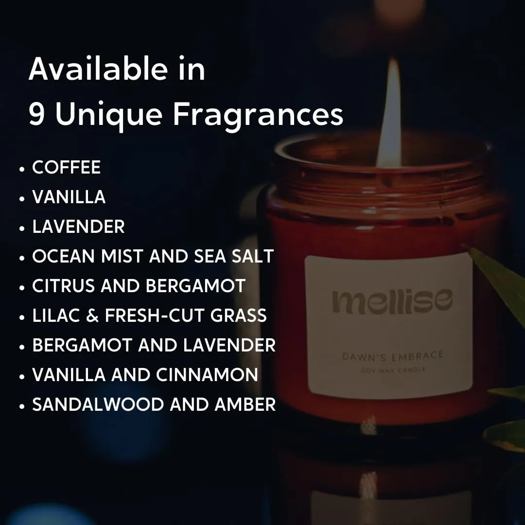 Mellise 200 gm Soy Wax Scented Candle in Glass Jar Ocean Mist and Sea Salt Fragrance Burn Time 34 Hrs, Luxury Gift, Aromatherapy Fragrance Candles for Home Decor