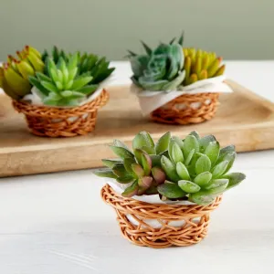 Mini Woven Baskets for Treats and Decor (Brown, 3.1 x 1.2 Inches, 24 Pack)