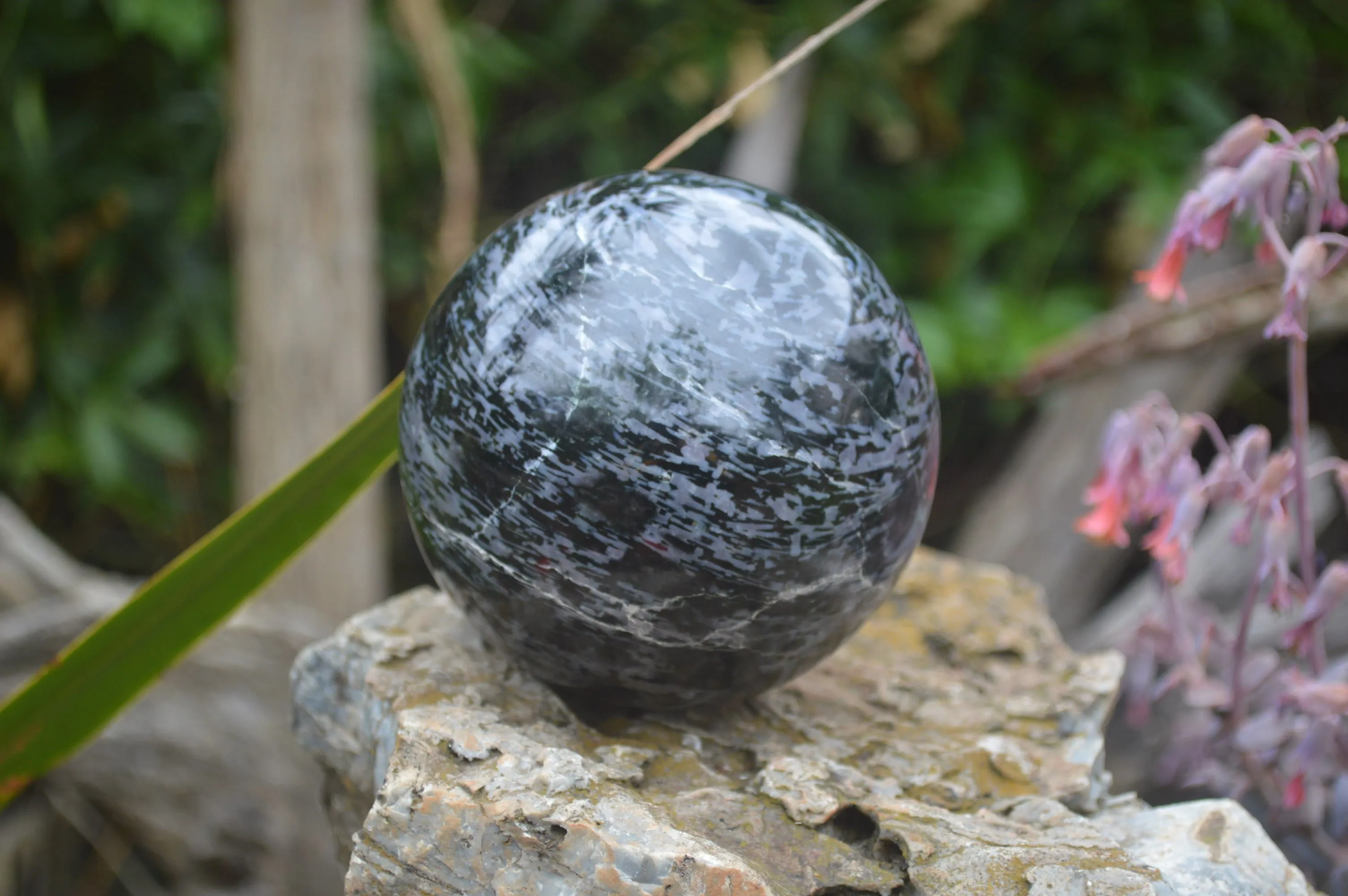 Polished Gabbro Sphere x 1 From Madagascar