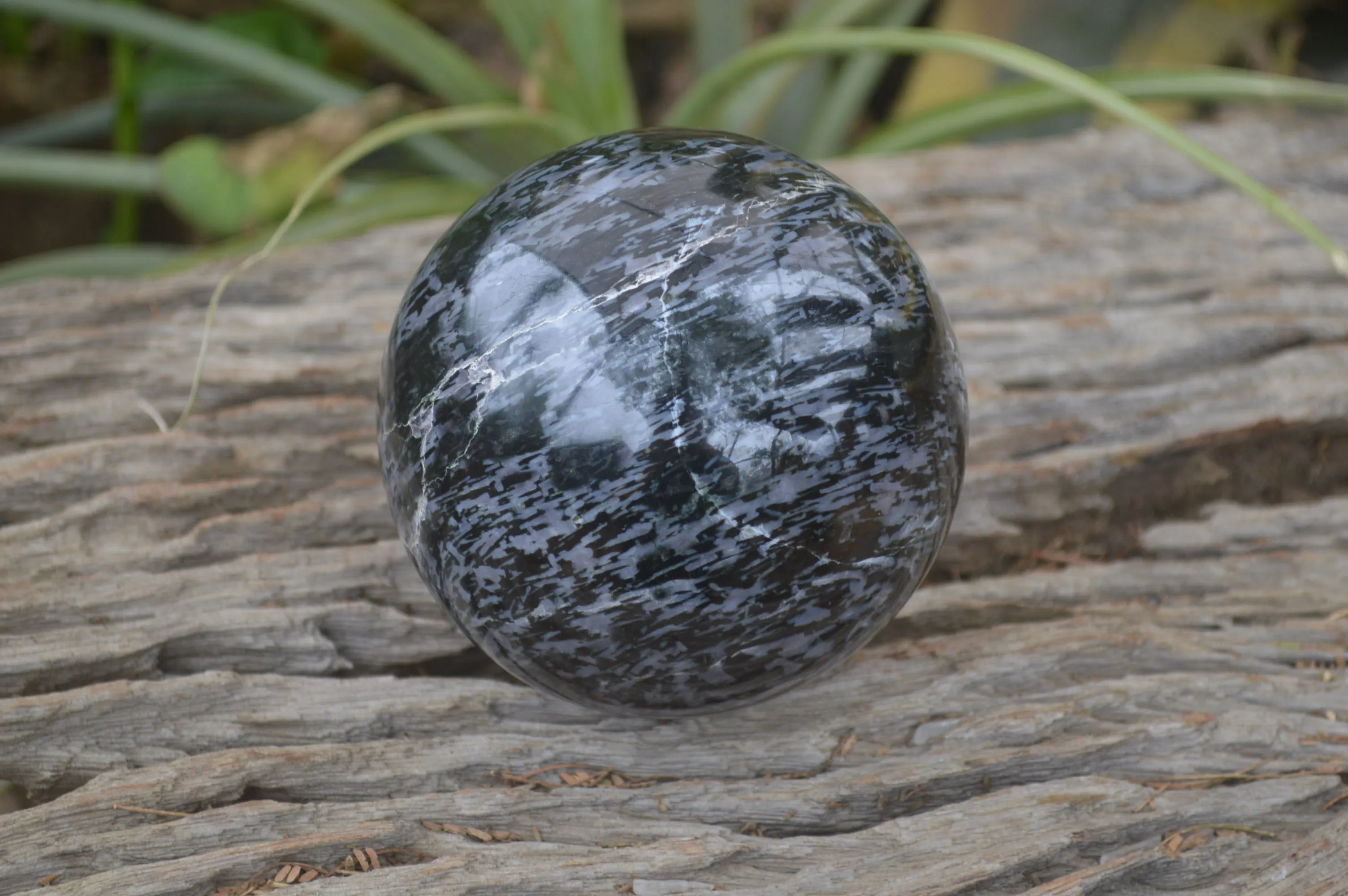 Polished Gabbro Sphere x 1 From Madagascar