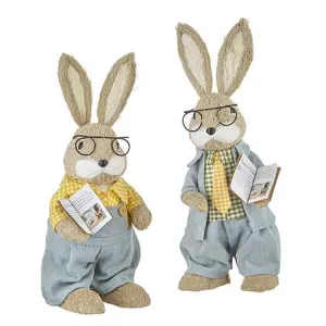 Raz Imports Storybook Spring 16" Bunny With Storybook, Asst of 2