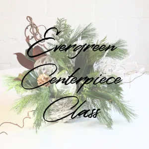 Stacy K Floral | Evergreen Centerpiece Class