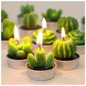 Stylish Cactus Tea Candle Set Perfect for Home Decoration and Gifting